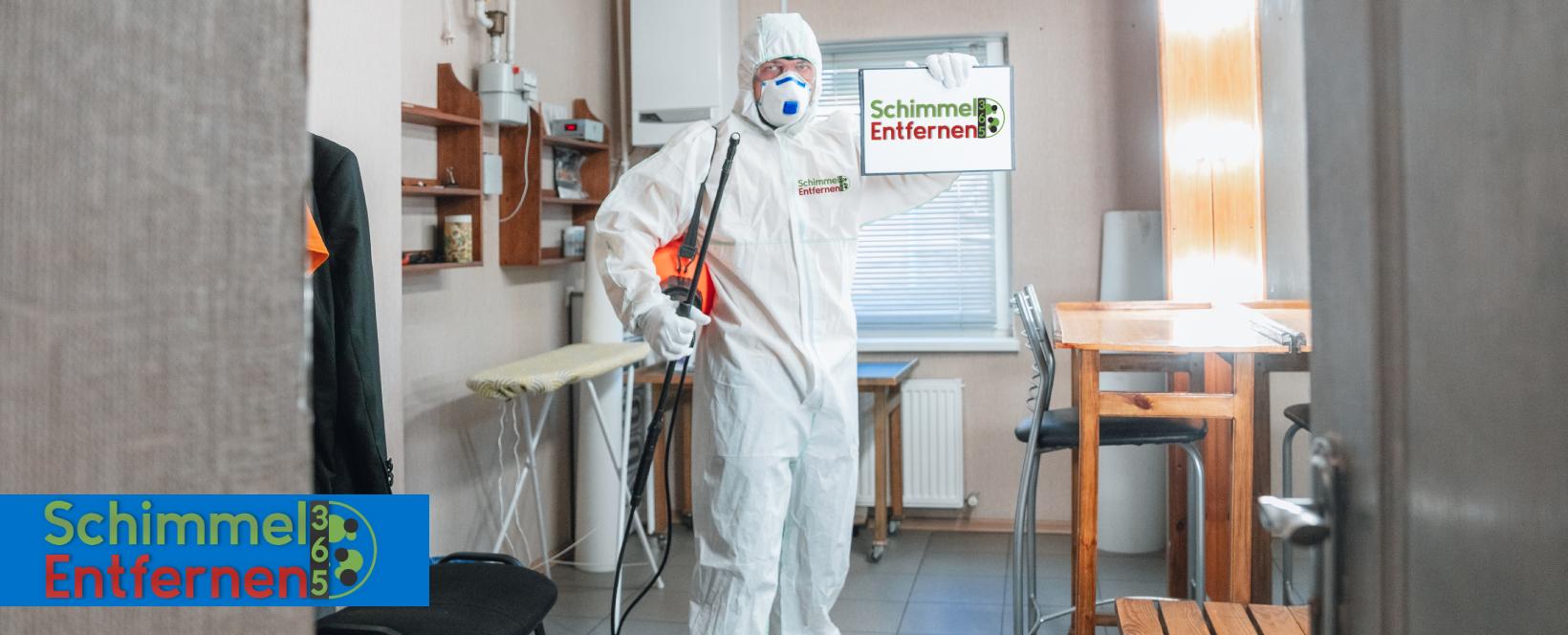 Schimmel entfernen Forst bei Wissen Schimmelbeseitigung von Experten